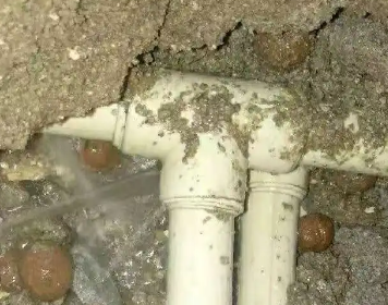 舟山市测漏水多少钱