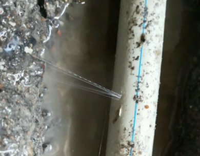 舟山市测漏水哪家好