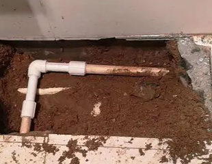 舟山市测漏水哪家好