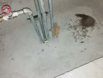 舟山市卫生间测漏水价格明细