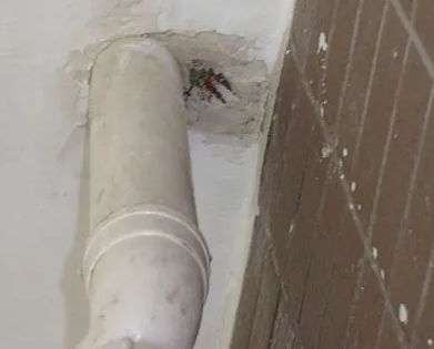 舟山市漏水检测哪家好